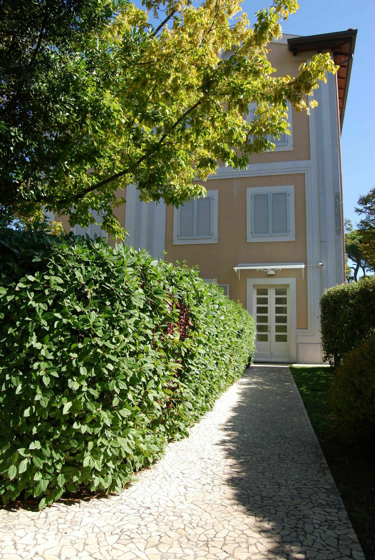 Ceccarini Suite Riccione Eksteriør bilde